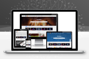 Ripro-V5 7.4 付费资源下载主题正版授权2023全新重构知识付费会员系统