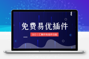 易优全部插件集合160+个支持最新易优CMS含发卡支付插件